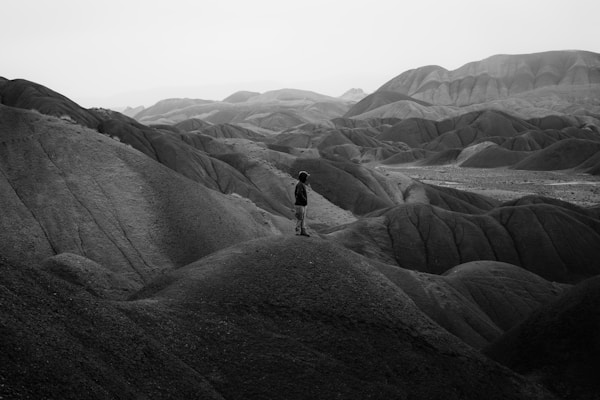 نمونه‌کار سینا ایزدی