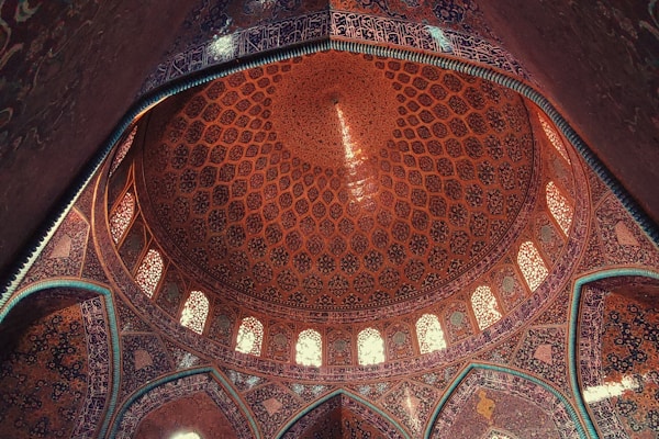 نمونه‌کار داوود هرمزگانی